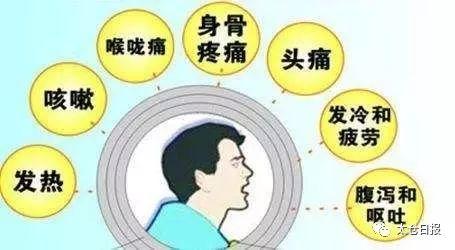 狗狗健康专题，探讨狗狗咳嗽时能否接种疫苗的注意事项