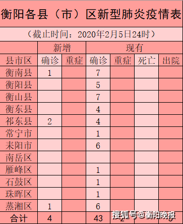 衡阳最新疫情案例，城市应对挑战与措施